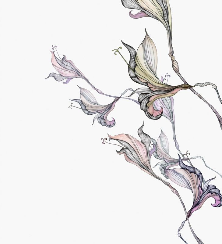 Графика Цветочный мотив  f7204