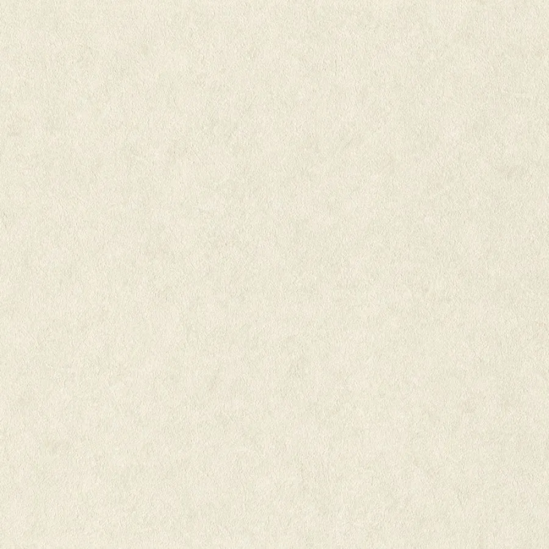 Виниловые обои на флизелиновой основе Rasch Wall Textures XL III 1.06x10.05 арт.947649