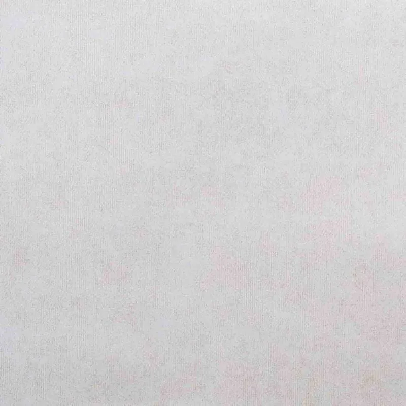 Флизелиновые обои Bernardo Bartalucci Sarrieri 1.06x10 арт.5075-4