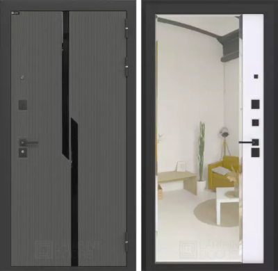 Входная дверь Карбон с зеркалом Панорама