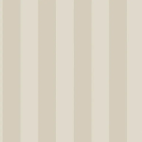 Виниловые обои на бумажной основе Aura Smart Stripes II 0.53x10.05 арт.G67560