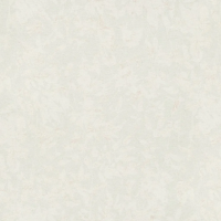 Виниловые обои на флизелиновой основе Erismann Gentle 1.06x10.05 арт.ER12210-01