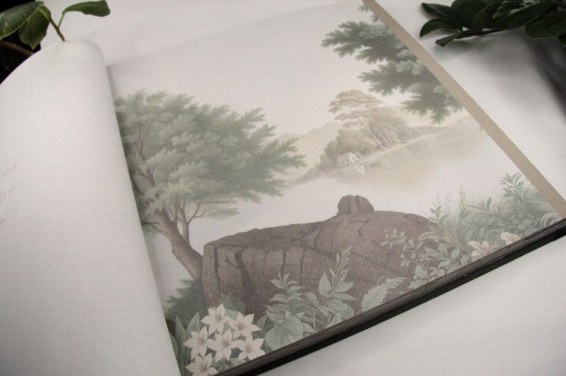 Флизелиновые фотообои Loymina Панорама (Вистерия) PNR1 005/1