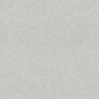 Виниловые обои на флизелиновой основе Erismann Gentle 1.06x10.05 арт.ER12207-24