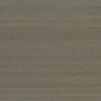 Виниловые обои на флизелиновой основе Sirpi Jaipur 1x10.05 арт.J306852