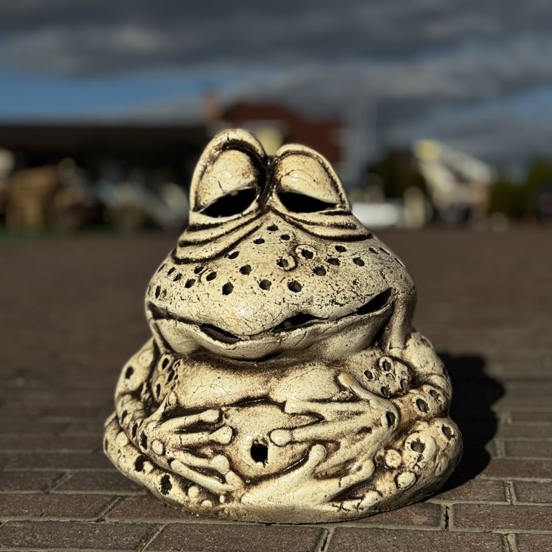 Жаба Клава