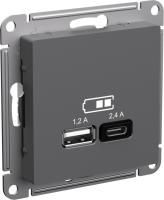 Зарядное устройство USB Schneider, USB-A + USB-C, 0.3Вт (Базальт)