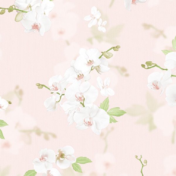 54342-2 Andrea Rossi Stromboli 1,06 x 10,05