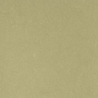 Флизелиновые обои Bernardo Bartalucci Legend 1.06x10 арт.5068-45