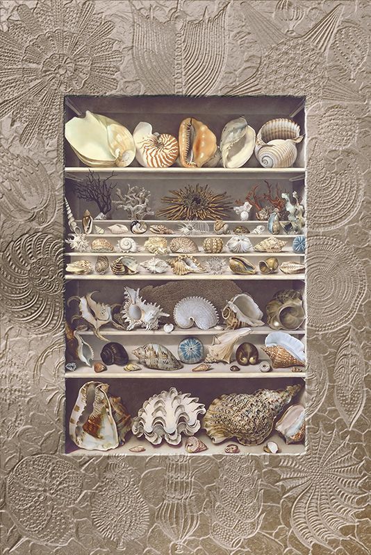 Обои DC-048 Loymina Illusion II