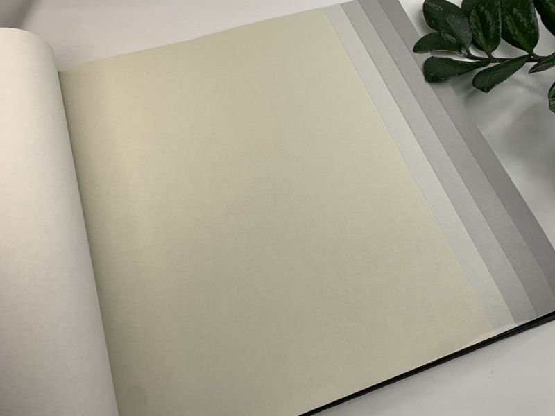 Флизелиновые обои Milassa Ambient vol.3 (Ambiplain 3) Am9 005 для спальни