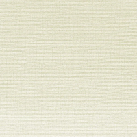 Виниловые обои Parati&Parati Uno 1.06x10 арт.FN26002