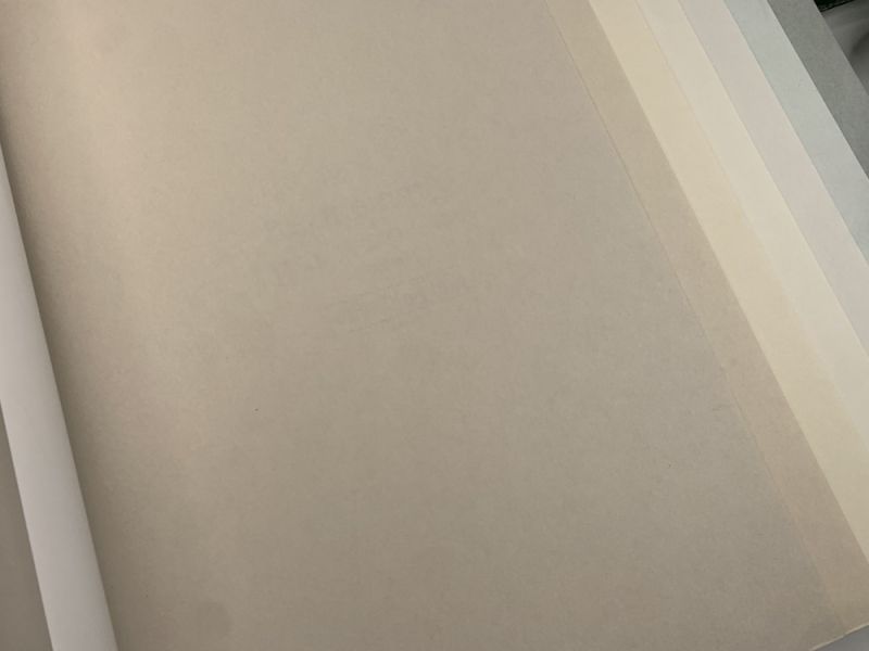 Флизелиновые обои Milassa Ambient vol.3 (Ambiplain 3) Am9 002 для спальни