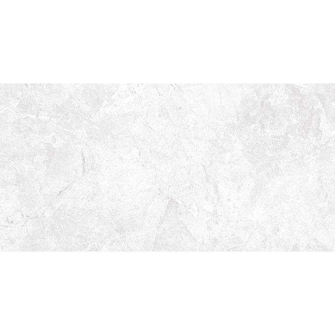 Морган  серый 25x50