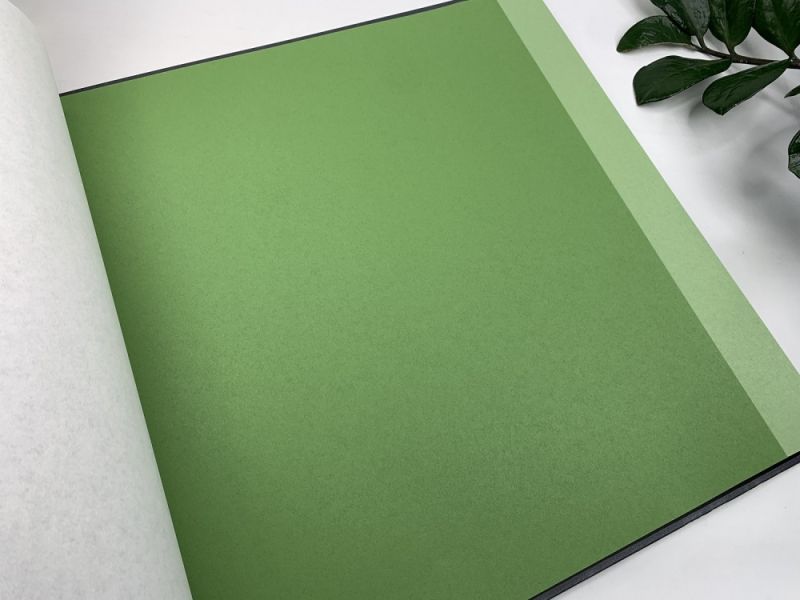 Флизелиновые обои Milassa Ambient vol.4 (Ambiplain 4) Am4 005/1 для стен