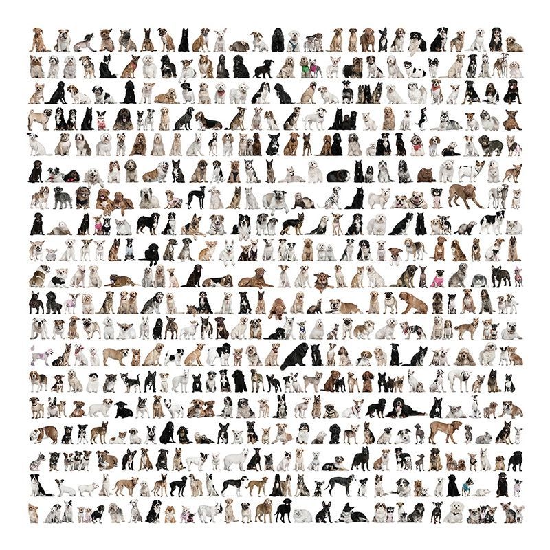 Обои DA-002 Loymina Illusion II