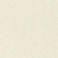Виниловые обои на флизелиновой основе Rasch Wall Textures XL III 1.06x10.05 арт.947649
