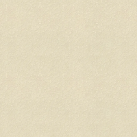 Rasch Gentle Elegance 1.06x10.05 арт.959666