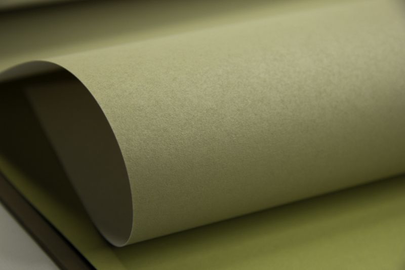 Флизелиновые обои Loymina Lotus Universe LOT2 117 метровые