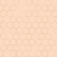 Флизелиновые обои Loymina Liberty 1x10.05 арт.LIB1007/1
