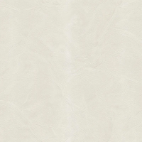 Виниловые обои на флизелиновой основе Emiliana Parati (Decori) Blumarine 5 1.06x10.05 арт.29007BM