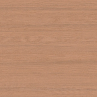Флизелиновые обои Loymina Terra 1x10.05 арт.TER2004/1