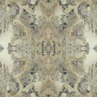 Бумажные обои на бумажной основе York Candice Olson Botanical Dreams 0.68x8.2 арт.DN3717