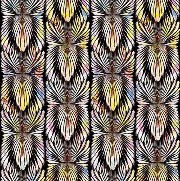 Виниловые фотообои Roberto Cavalli 8 RC19122