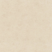 Виниловые обои на флизелиновой основе Rasch Natural Colors 0.53x10.05 арт.408133