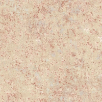 Флизелиновые обои Aura Grunge 0.53x10.05 арт.G45344