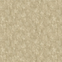 Бумажные обои на бумажной основе Bruno Zoff Gold 1.06x10 арт.60122-7