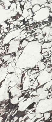 Керамогранит APE Ceramica Medicea Marble 120x278