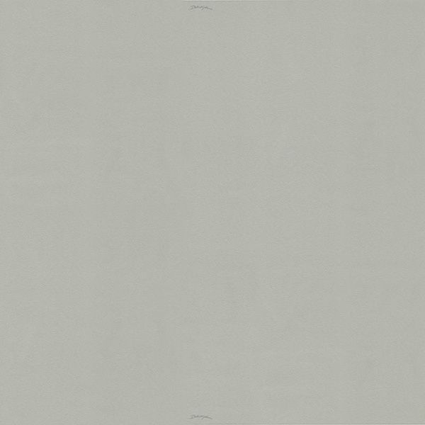 Виниловые обои Dolce&Gabbana №1 1.06 30058DG