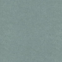 Виниловые обои на флизелиновой основе Erismann Gentle 1.06x10.05 арт.ER12207-07