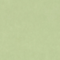 Виниловые обои на флизелиновой основе Rasch Garden 0.53x10.05 арт.330052r