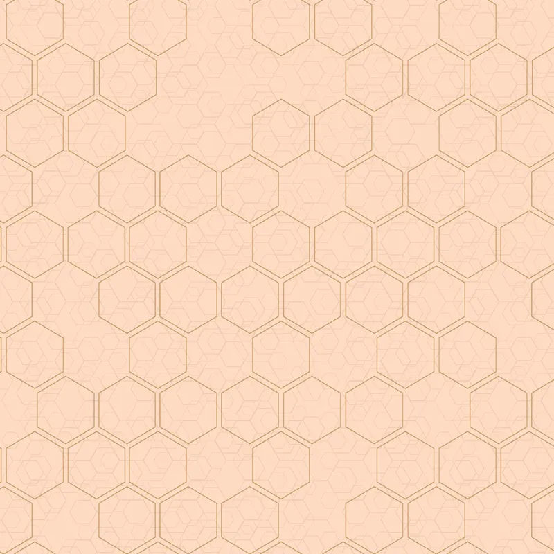 Флизелиновые обои Loymina Liberty 1x10.05 арт.LIB1007/1