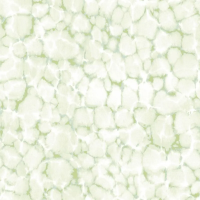 Флизелиновые обои Aura Evergreen 0.53x10.05 арт.7316e