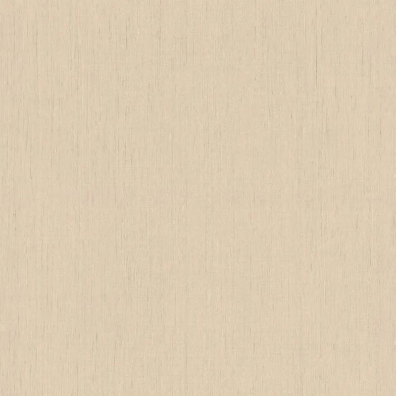 Виниловые обои на флизелиновой основе Rasch Indian Style 0.53x10.05 арт.746037