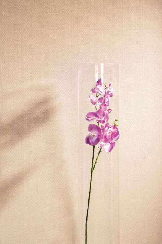 Обои Neo5 002 Milassa Neo Classic 1,00 x 10,05