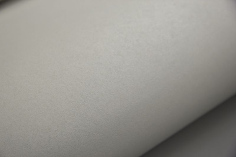 Флизелиновые обои Loymina Lotus Universe LOT2 407 метровые