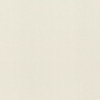 Виниловые обои на флизелиновой основе Rasch Gentle Elegance 1.06x10.05 арт.980332