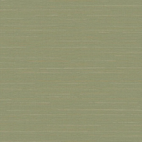 Флизелиновые обои Loymina Amazonia 1x10.5 арт.Ins9005/1