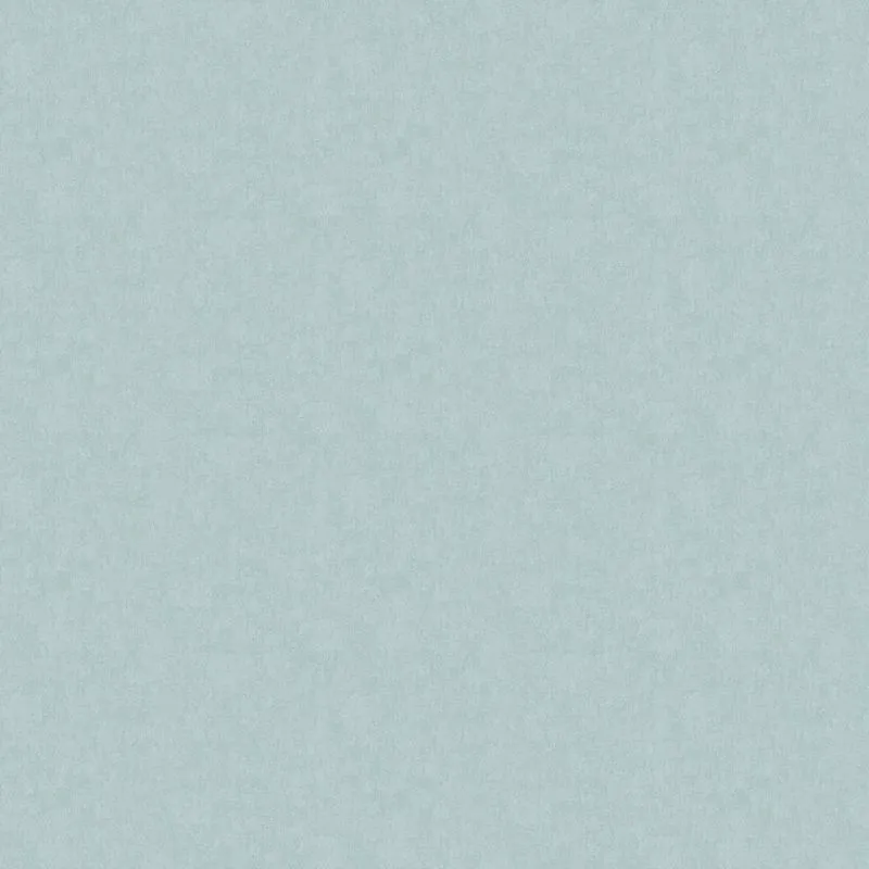 Флизелиновые обои Artsimple Holidays 1x10.05 арт.ARTS13006