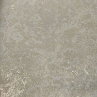 Виниловые обои на флизелиновой основе Wiganford Milenium №1 1.06x10.05 арт.AK2641