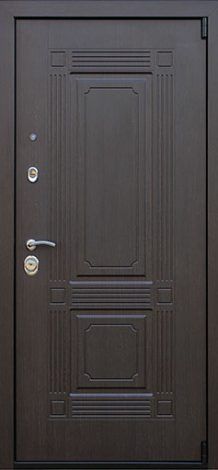 Стальная дверь «Викинг с зеркалом» АСД