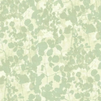 Флизелиновые обои York Candice Olson Botanical Dreams 0.68x8.2 арт.NA0517