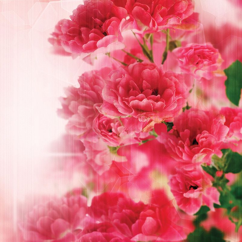 Обои DFL-003 Loymina Illusion II