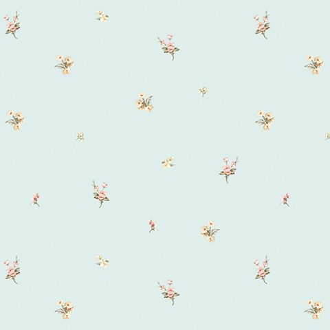 54321-4 Andrea Rossi Nisida 1,06 х 10,05