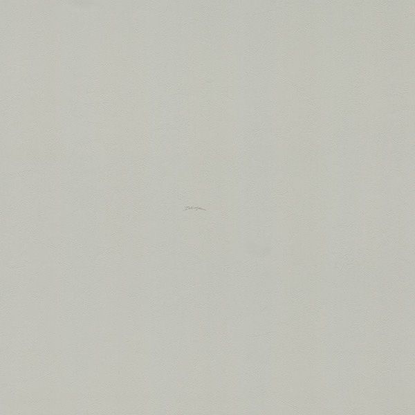 Виниловые обои Dolce&Gabbana №1 1.06 30053DG