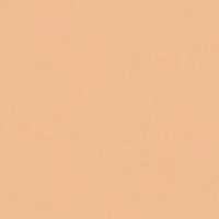 Флизелиновые обои Architects Paper Floral Impression 0.53x10.05 арт.37702-1